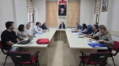 Balıkesir’in Bandırma ilçesinde sahipsiz hayvanların durumu ve yapılması planlanan çalışmalar,