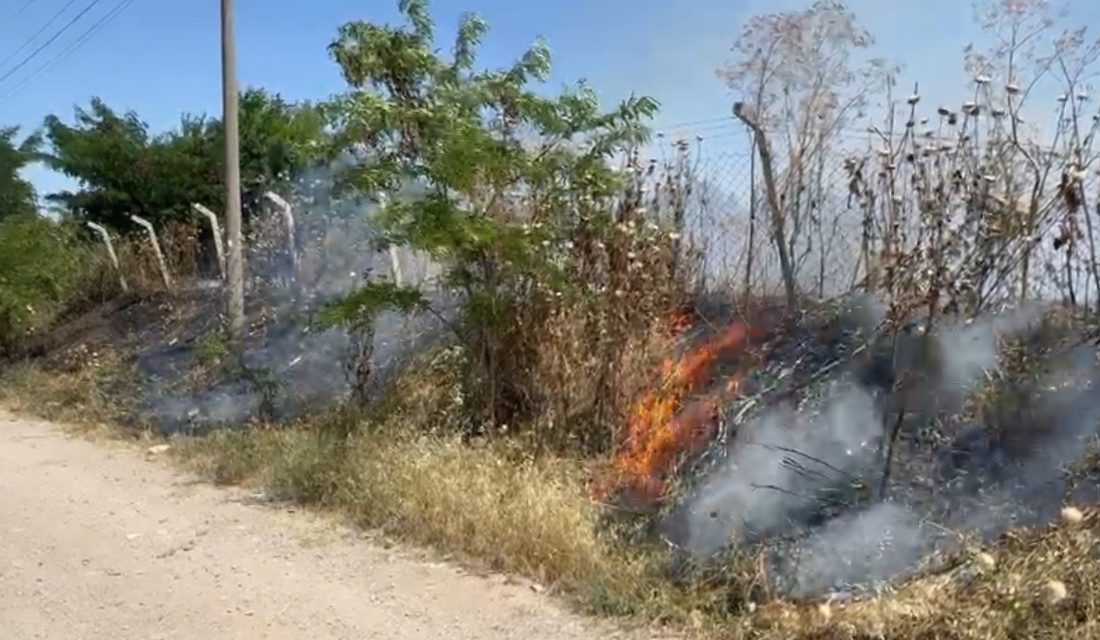 Gönen’de boş arazide çıkan yangın söndürüldü Balıkesir’in Gönen ilçesi Kurtuluş Mahallesi’nde bulunan boş arazide henüz bilinmeyen
