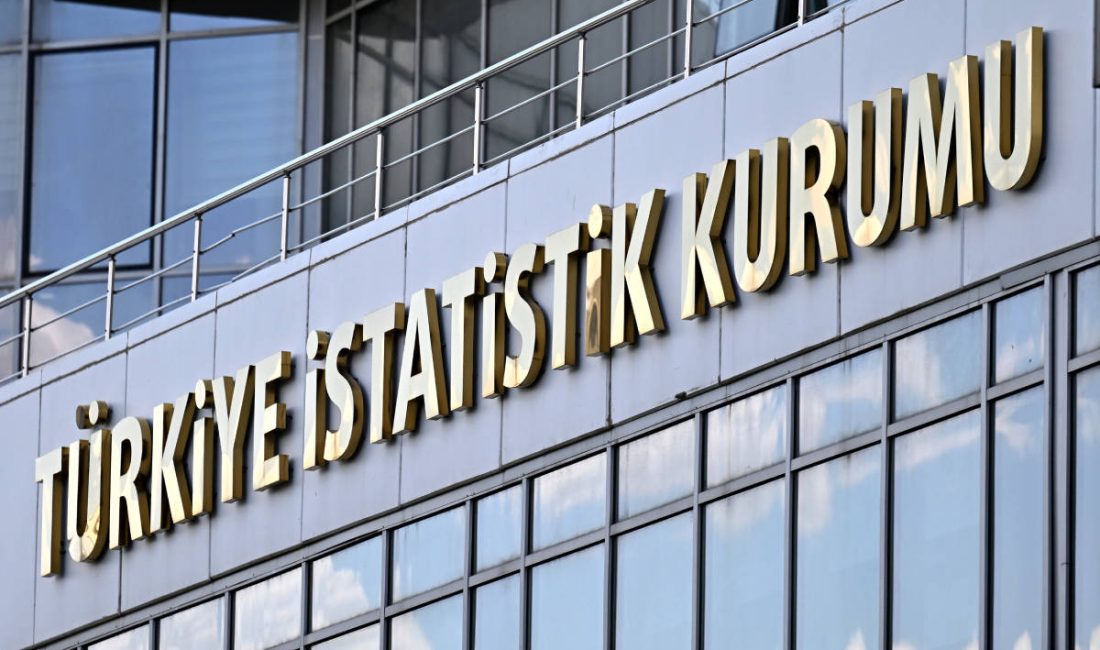 Türkiye İstatistik Kurumu (TÜİK), 2024 yılı Ölüm ve Ölüm nedeni