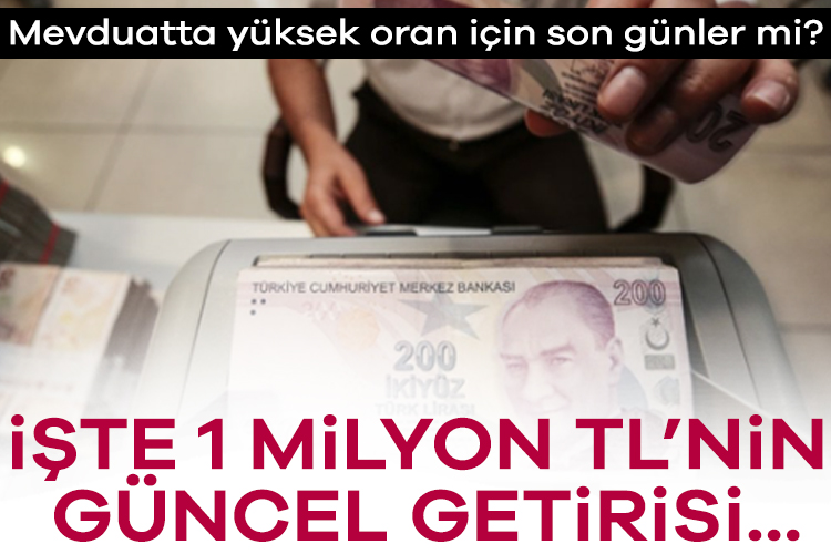 Mevduatta yüksek oran için son günler mi? İşte 1 milyon TL’nin güncel getirisi… Bu haftaki PPK toplantısında TCMB'nin politika faizini %46'da sabit tutması,