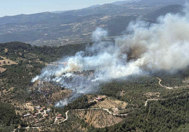 Balıkesir’in Havran ilçesi Halılar Mahallesi’nde arazide başlayan yangının ormanlık alana