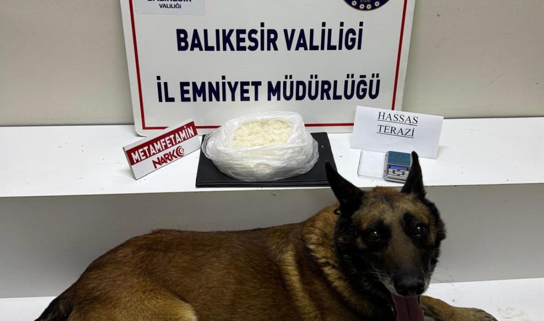 Balıkesir’in Edremit ilçesinde narkotik köpeği “Cash”in katıldığı operasyonda, 1 kilo