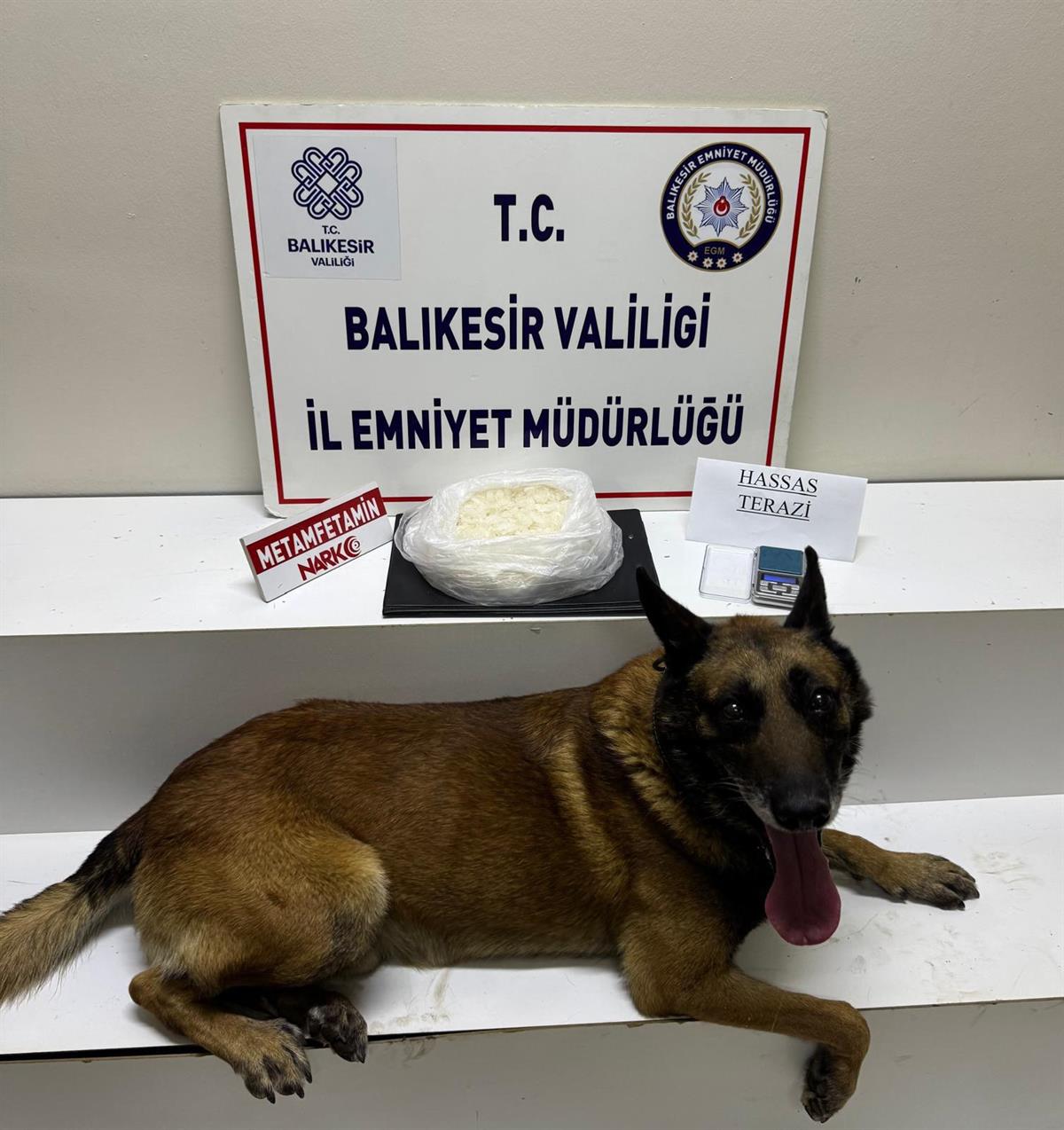 Balıkesir’in Edremit ilçesinde narkotik köpeği “Cash”in katıldığı operasyonda, 1 kilo