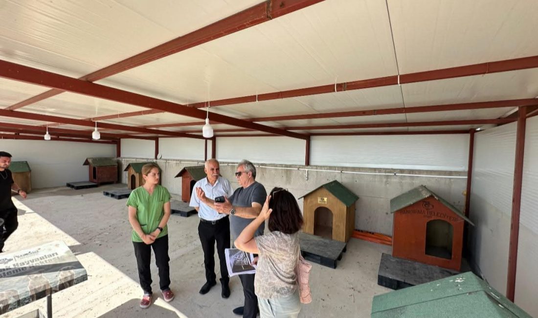 Bandırma Belediyesi’nden sokak hayvanları için yeni yaşam alanı çalışması Bandırma Belediye Başkanı Dursun Mirza, şehirde yaşayan sokak hayvanlarının daha