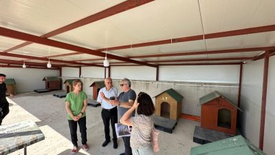 Bandırma Belediye Başkanı Dursun Mirza, şehirde yaşayan sokak hayvanlarının daha