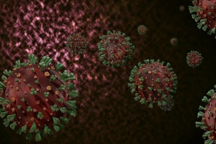 Kabus geri mi dönüyor? Yeni varyantlar ortaya çıktı Corona virüs vakaları son günlerde yükselişe geçerken, yeni varyantlar ortaya