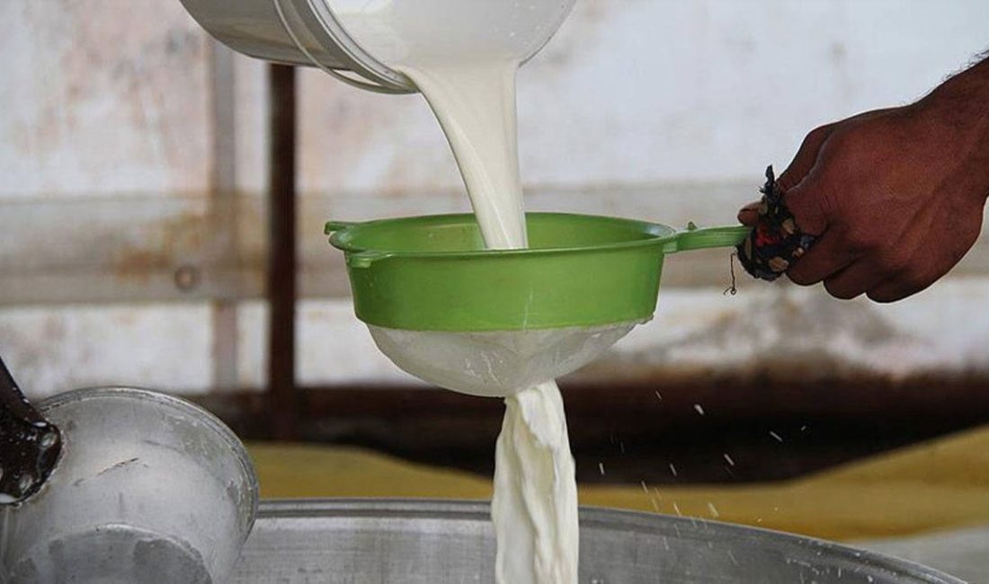 Çiğ süte zam geldi: Üreticinin eline litre başına 18,35 TL geçecek Ulusal Süt Konseyi, 1 Ağustos’tan itibaren geçerli olacak yeni çiğ