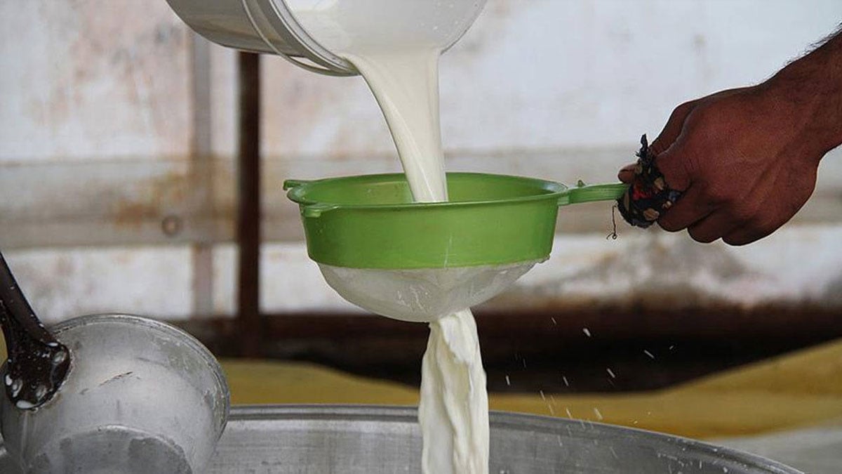 Ulusal Süt Konseyi, 1 Ağustos’tan itibaren geçerli olacak yeni çiğ