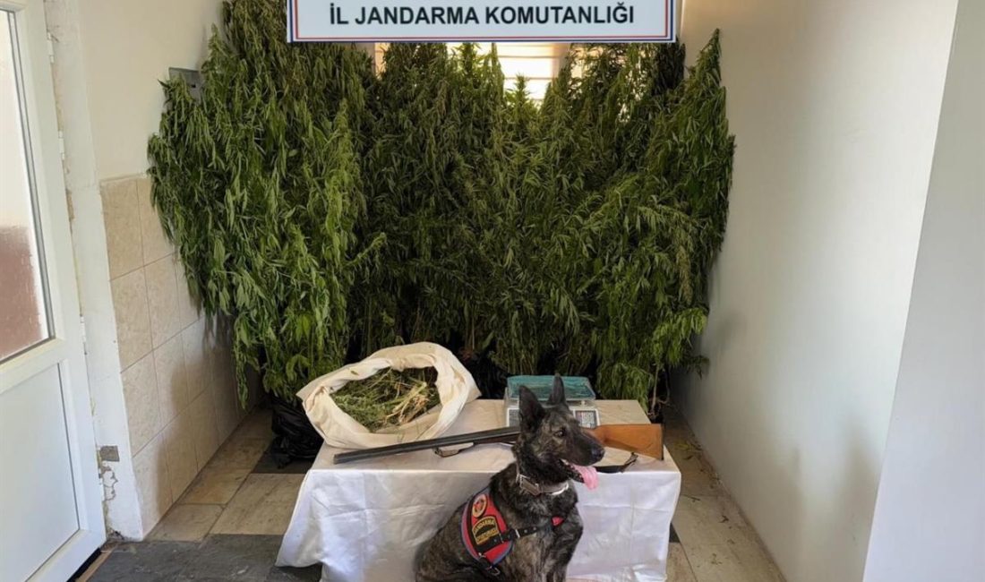 Balıkesir’de jandarmadan 9 ilçede uyuşturucu operasyonu: 15 gözaltı Balıkesir İl Jandarma Komutanlığı ekiplerince 21-27 Temmuz 2025 tarihleri arasında