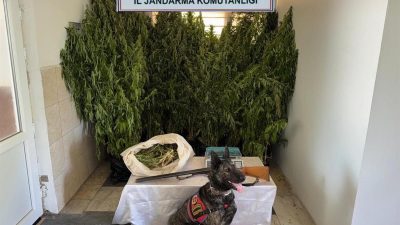 Balıkesir İl Jandarma Komutanlığı ekiplerince 21-27 Temmuz 2025 tarihleri arasında