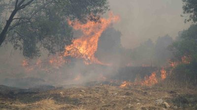 Türkiye’nin farklı bölgelerinde etkili olan sıcak hava dalgası, düşük nem