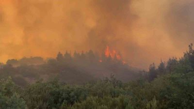 Balıkesir’in Susurluk ve Kepsut ilçeleri arasındaki dağlık arazide çıkan yangın,