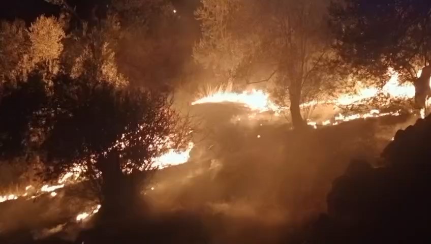 Balıkesir’in Edremit ilçesinde zeytinlik alanda çıkan yangına orman ve itfaiye