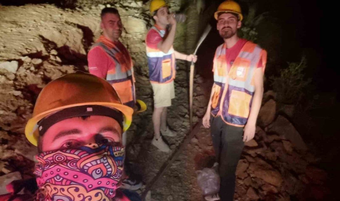 Balıkesir’in Edremit ilçesinde zeytinlik alanda çıkan yangın, orman, itfaiye ve