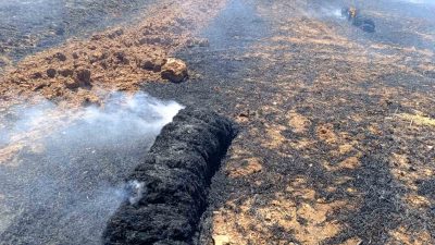 Balıkesir’in Sındırgı ilçesinde tarladan biçilen ve balyalanmak için bekleyen samanlar