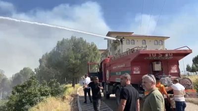 Balıkesir’in Dursunbey ilçesinde koruluk alanda çıkan yangın okul binasını tehdit