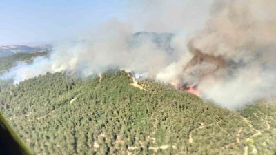 Balıkesir’in Altıeylül ilçesi kırsalında ormanlık alanda yangın çıktı. Yangına karadan