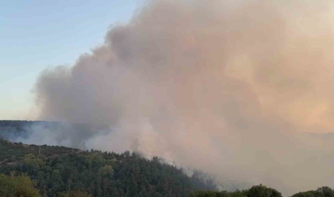 Balıkesir’in Altıeylül ilçesinde çıkan orman yangınına müdahale sürüyor.