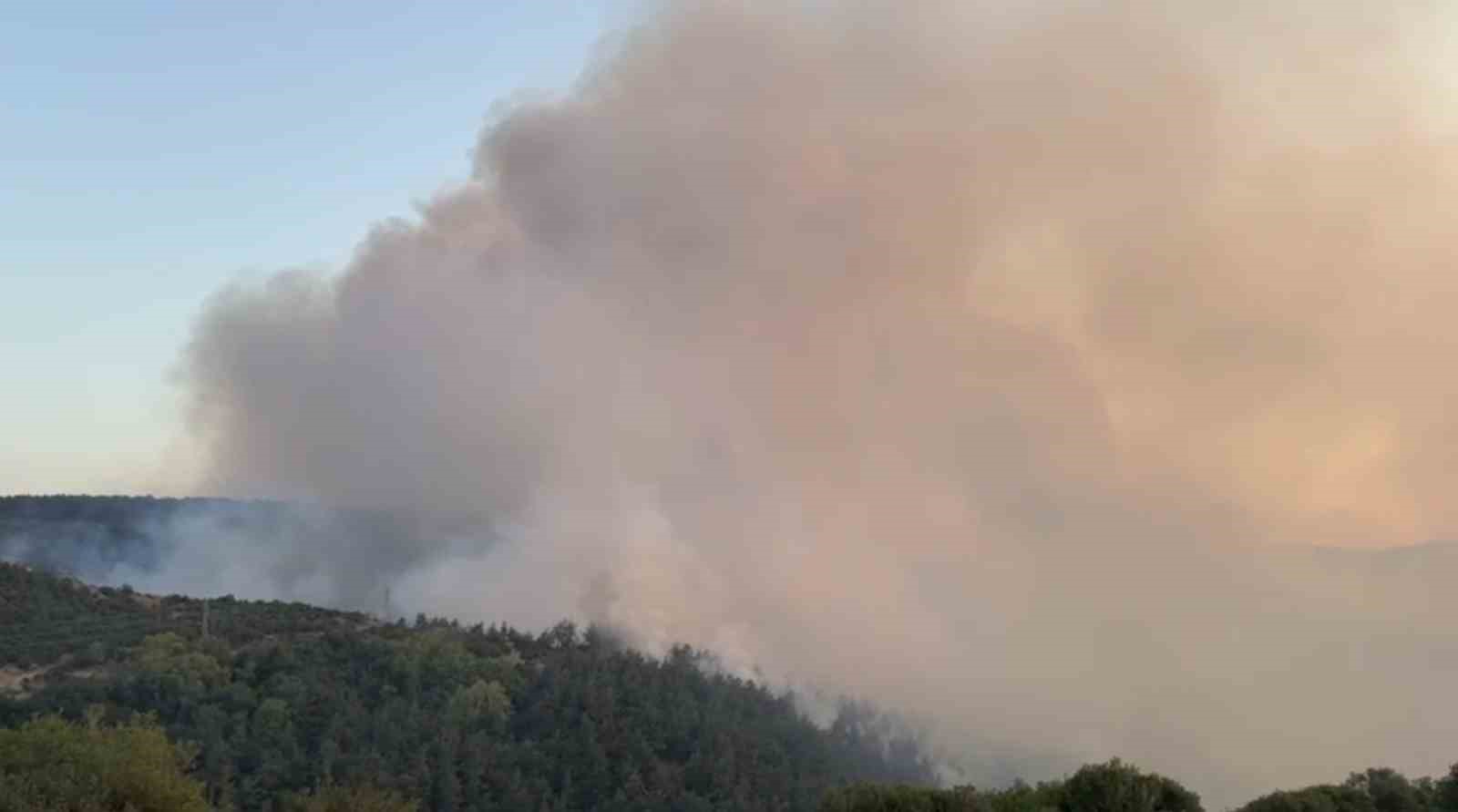 Balıkesir’in Altıeylül ilçesinde çıkan orman yangınına müdahale sürüyor.