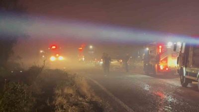 Balıkesir’in Altıeylül ilçesinde çıkan ve rüzgarın etkisiyle büyüyen yangında Bahadır