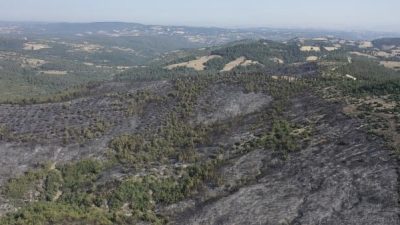 Balıkesir’in Altıeylül ilçesinde gece müdahalesi yapılan yangına sabah saatlerinde havadan