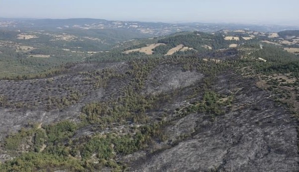 Altıeylül’deki yangın havadan görüntülendi Balıkesir’in Altıeylül ilçesinde gece müdahalesi yapılan yangına sabah saatlerinde havadan