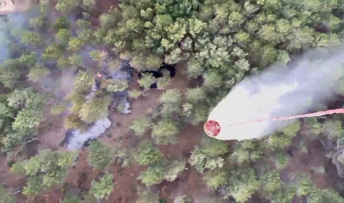 Balıkesir’in Edremit ilçesi Kazdağları’nda çıkan orman yangını, Edremit Orman İşletme