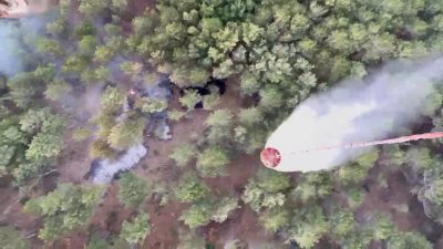 Balıkesir’in Edremit ilçesi Kazdağları’nda çıkan orman yangını, Edremit Orman İşletme