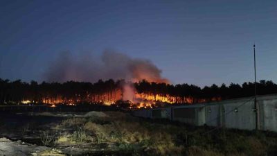 Balıkesir’in Savaştepe ilçesinde çıkan orman yangınına ekiplerin müdahalesi devam ediyor.