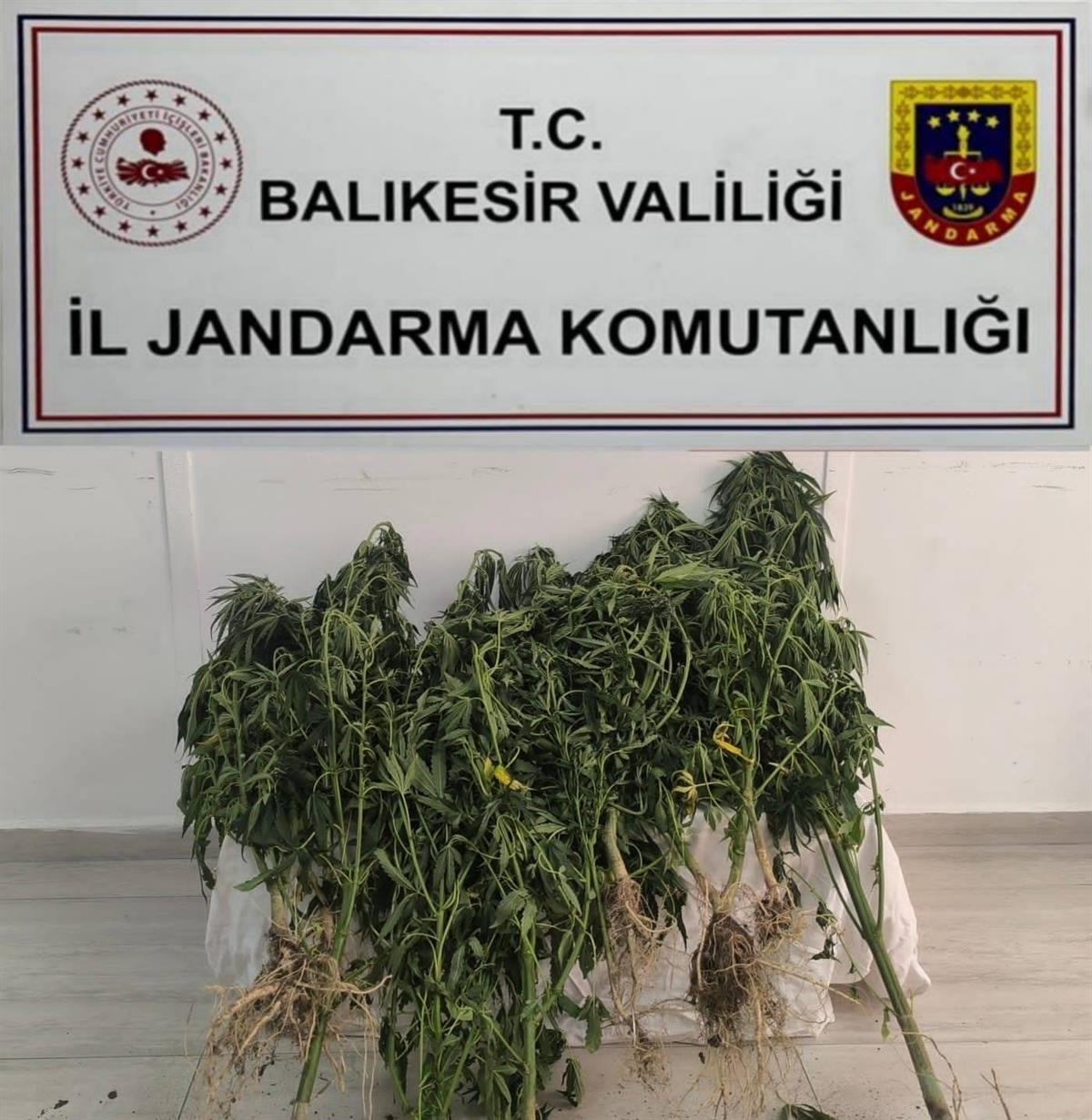 Balıkesir İl Jandarma Komutanlığı ekipleri, 9 ilçede gerçekleştirdiği operasyonlarda 705