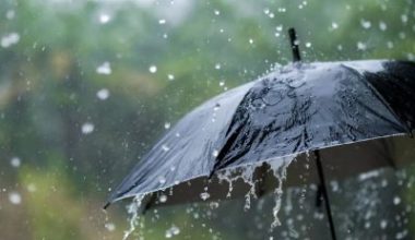 Meteoroloji'nin Haziran 2025 yağış raporuna göre, Türkiye genelinde yağışlar mevsim