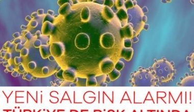 DSÖ, chikungunya virüsünün küresel bir salgına dönüşebileceği uyarısında bulundu. 5,6