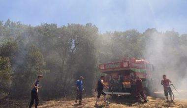 Balıkesir’in Susurluk ilçesine bağlı Dereköy Mahallesi’nde arazi ve makilik alanda