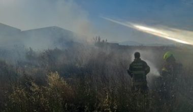 Balıkesir’in Bandırma ilçesinde farklı adreslerde meydana gelen ot, anız ve