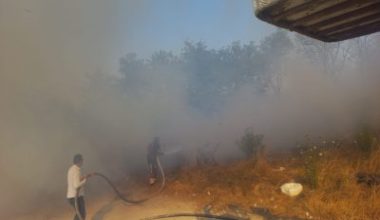 Balıkesir’in Bandırma ilçesi Aksakal Mahallesi’nde otluk alanda çıkan yangın, Bandırma