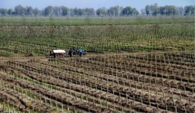 Balıkesir'in Tahirova Sulama Sahası, Balıkesir Sulama Birliği'nin hatalı planlama ve