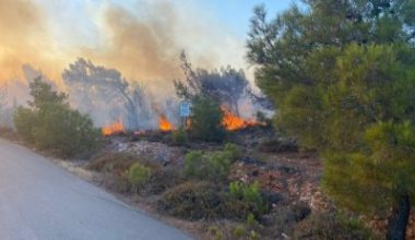 Balıkesir’in Ayvalık ilçesi Cunda (Alibey) Adası’nda çıkan orman yangını, ekiplerin