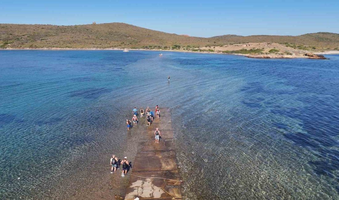 Adadan adaya denizden yürüyerek geçtiler Balıkesir’in Ayvalık ilçesinde, Cunda Adası’ndan Maden Adası’na deniz içinden yürüyerek
