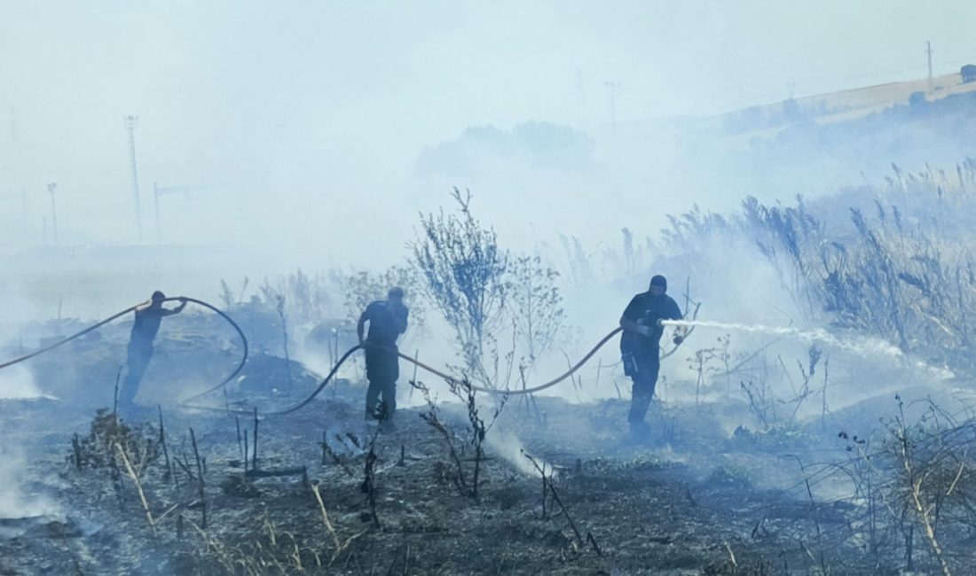 Bandırma-Bursa karayolunda arazi yangını söndürüldü Balıkesir’in Bandırma ilçesi Bandırma-Bursa karayolu Akçapınar yol ayrımında meydana gelen