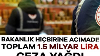Ticaret Bakanlığı, 2025 yılının ocak-haziran döneminde 287 bin 752 firma