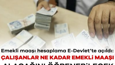 Milyonlarca çalışanın merakla beklediği emekli maaşı bilgileri güncellendi. E-Devlet üzerinden