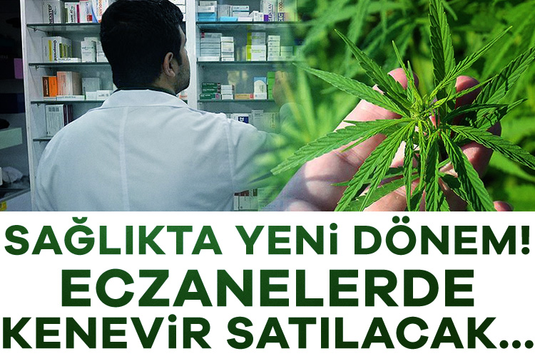 Aile hekimliğinde yeni dönem! Sağlıkla İlgili Bazı Kanunlarda ve 663 Sayılı Kanun Hükmünde Kararnamede