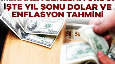 TCMB'nin temmuz ayı Piyasa Katılımcıları Anketi'ne göre, yıl sonu enflasyon