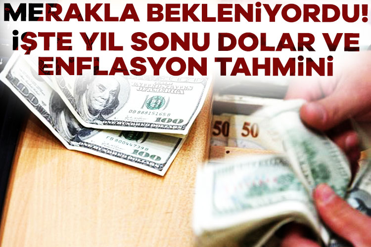 Merakla bekleniyordu! İşte TCMB’nin yıl sonu dolar ve enflasyon tahmini TCMB'nin temmuz ayı Piyasa Katılımcıları Anketi'ne göre, yıl sonu enflasyon