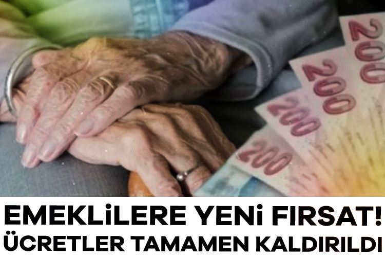 Emeklilere yeni fırsat! Ücretler tamamen kaldırıldı Kamu bankaları emeklilere yönelik yeni promosyon kampanyalarını duyurdu. Bankalar rekabeti