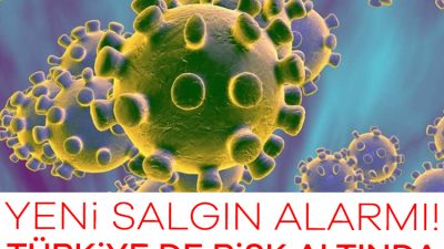 DSÖ, chikungunya virüsünün küresel bir salgına dönüşebileceği uyarısında bulundu. 5,6