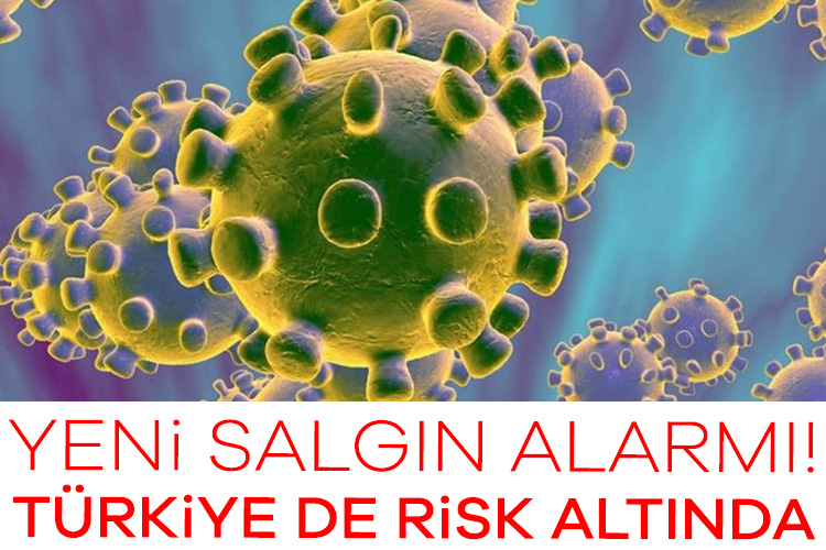 Yeni salgın alarmı! Türkiye de risk altında DSÖ, chikungunya virüsünün küresel bir salgına dönüşebileceği uyarısında bulundu. 5,6
