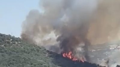 Balıkesir’in Savaştepe ilçesine bağlı Akpınar Mahallesi’nde ormanlık alanda yangın çıktı.