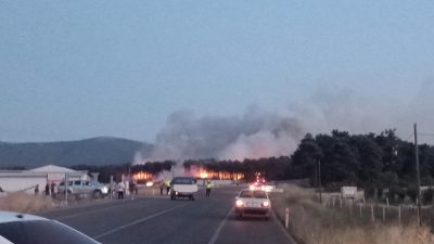 Balıkesir’in Savaştepe ilçesine bağlı Karaçam mevkiinde kırsalında akşam saatlerinde çıkan