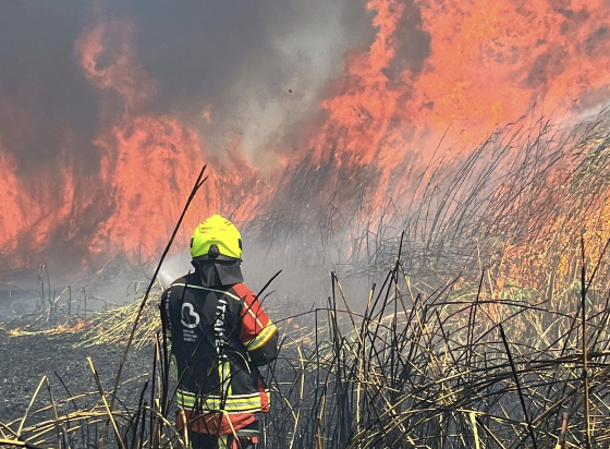 Balıkesir Büyükşehir Belediyesi İtfaiye Daire Başkanlığı’na bağlı ekipler, Ege Bölgesi’nde